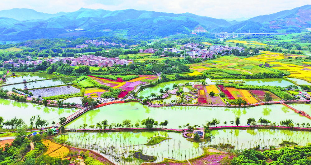 覃蔚峰 | 柳拂福禄河 花海揽清风-南方文苑网