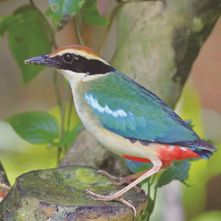 2739d1aa-e47e-4b6e-a811-27bc061164f1