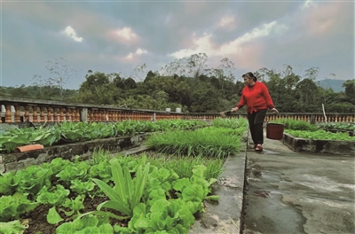 李顺 | 乡下母亲的烟火人生-南方文苑网