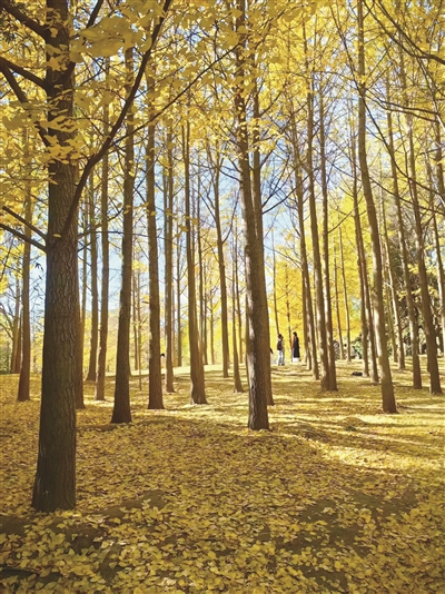 陈波 | 捏塑时光-南方文苑网