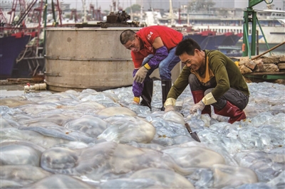 蓑笠翁 | 海知道答案-南方文苑网