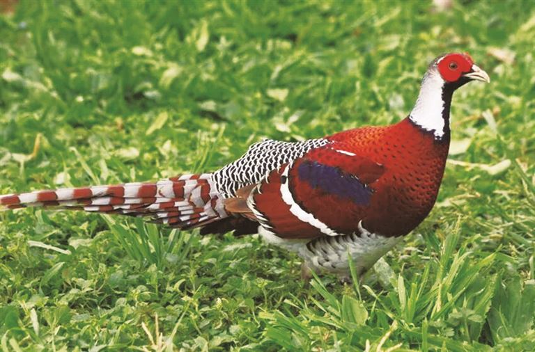 520212d3-0a13-4f28-8c65-8cee254cf700