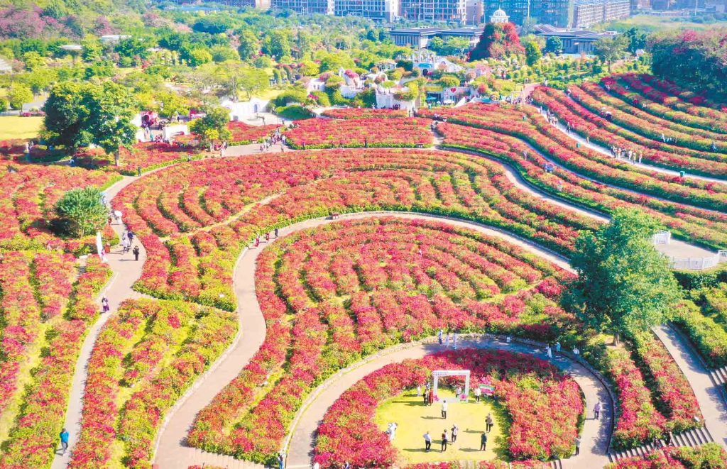 岑耀南 | 花开四季·冬-南方文苑网