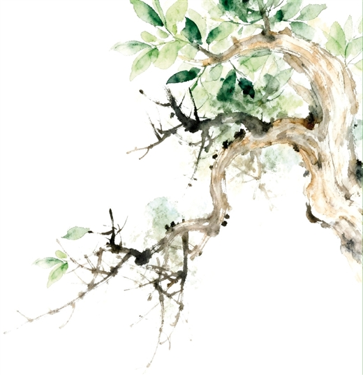 梁远辉 | 畅游大藤峡-南方文苑网