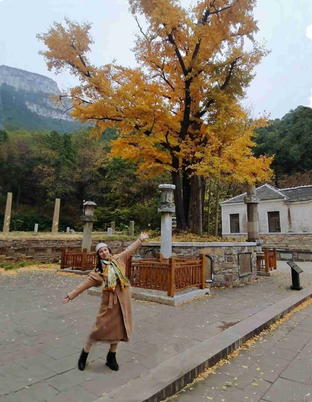 周末 | 邕江脉动-南方文苑网