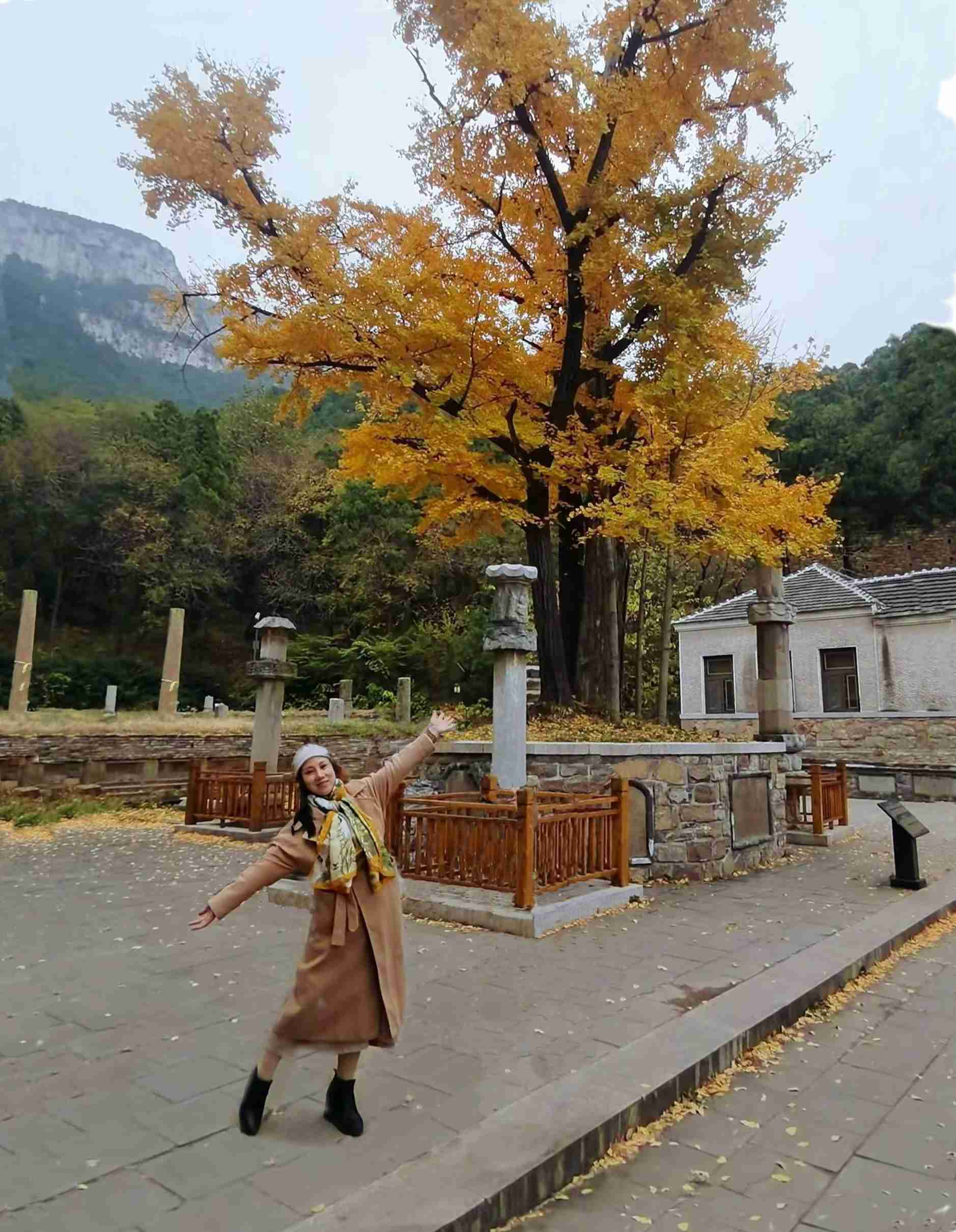 周末的头像-南方文苑网