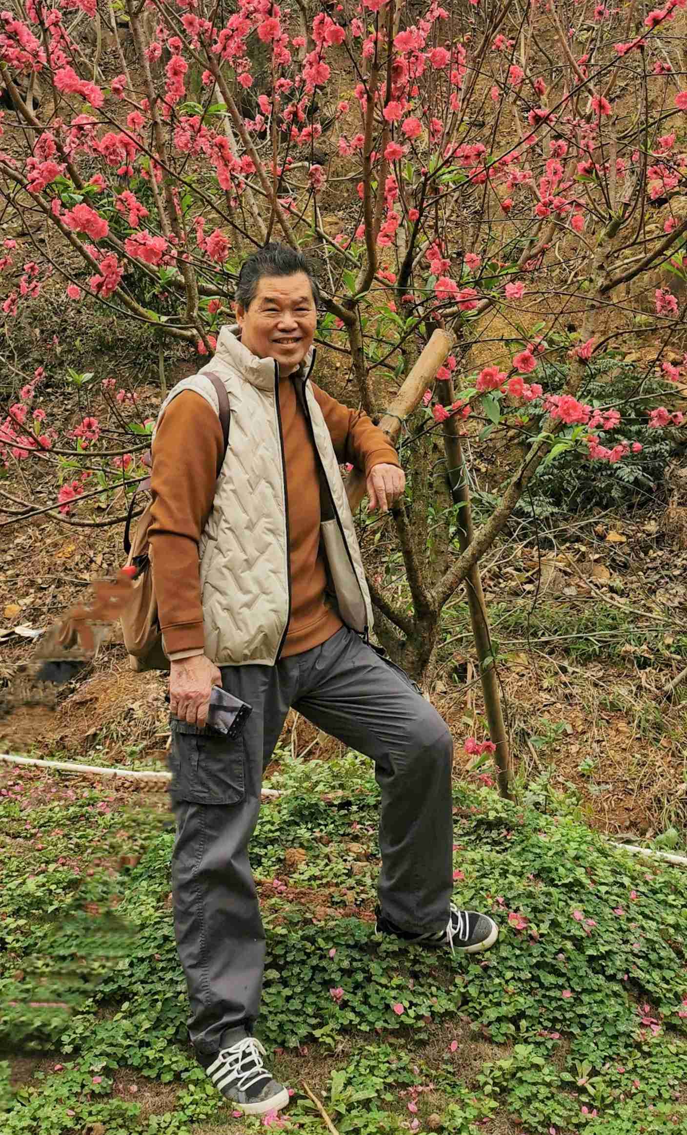 宋献生的头像-南方文苑网