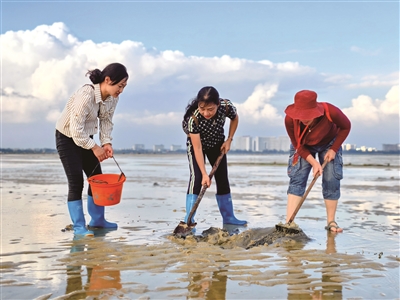 张超群 | 北海赶海记-南方文苑网