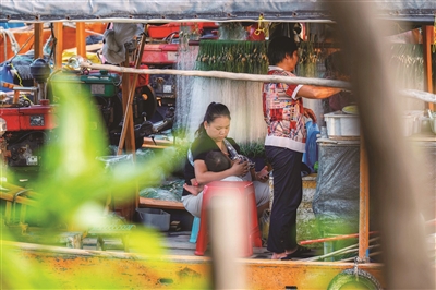 李国燕 | 最适合的活法-南方文苑网