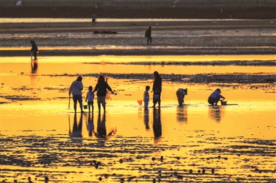 陈璐娇 | 退潮时分，与沙蟹不期而遇-南方文苑网