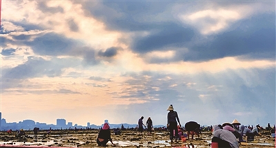 伍艳丽 | 赶海之乐-南方文苑网