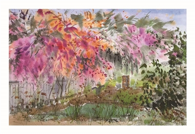 海角鱼 | 救赎之路-南方文苑网