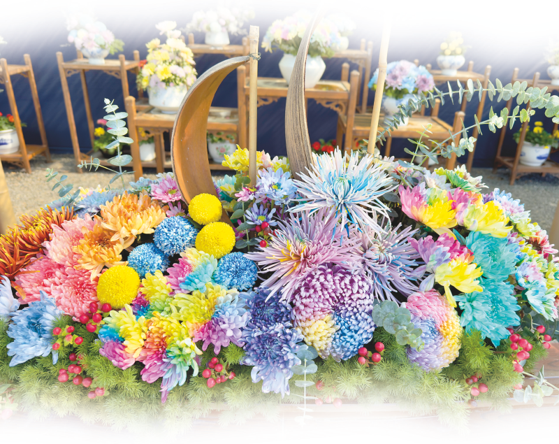 岑耀南 | 青秀山菊展-南方文苑网