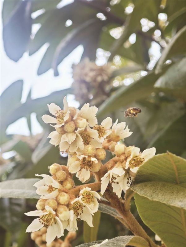 肖航勇 | 冬蛰的独白-南方文苑网