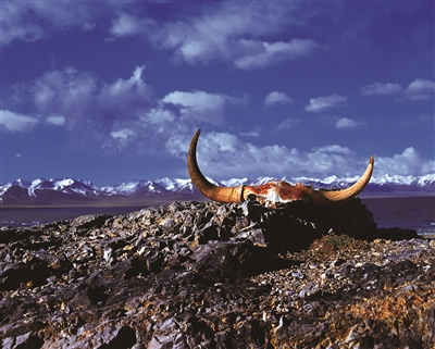 谭为民 | 摄途越万险 天湖入镜来-南方文苑网