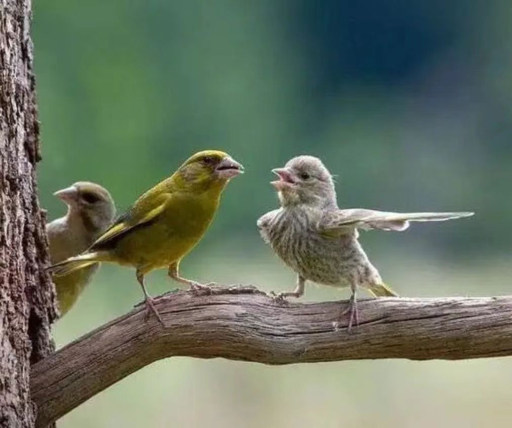 微信图片_20251201155916_72_1475