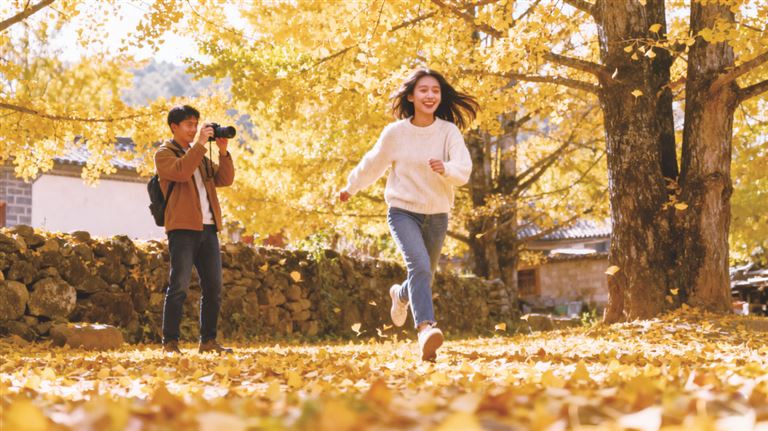 韦静宁 | 旅程-南方文苑网