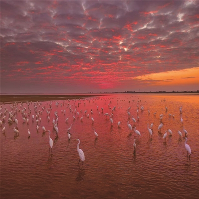 代景林 | 暖融融的冬至-南方文苑网