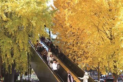 刘淦 | “秋水长天”逐梦路-南方文苑网