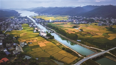 彭定欢 | 稻浪翻金话丰年-南方文苑网