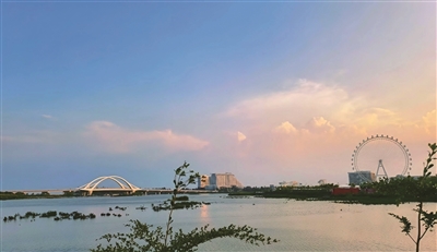 邹静 | 阿萨卡时光-南方文苑网