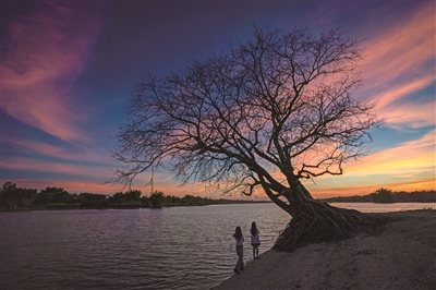 花学文 | 风雨一席酒 师生两知音-南方文苑网