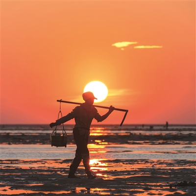 冯丽庆 | 骨碌碌的坦途，吱呀呀地来回-南方文苑网