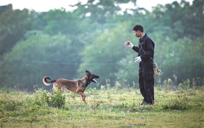 381563_rb06_20260109_b