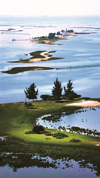 清沙 | 人情难断-南方文苑网