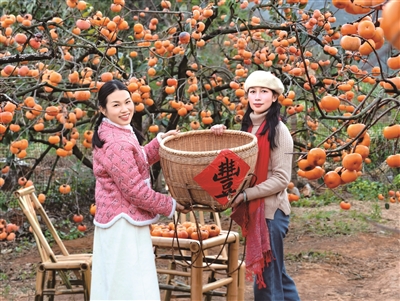 冬日“丰”景 傅静 摄