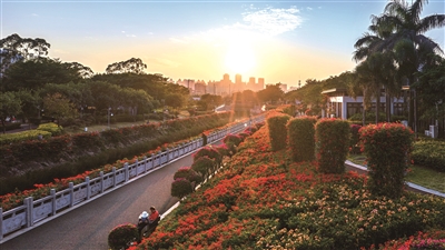 梦唐朝 | 巷陌新颜-南方文苑网