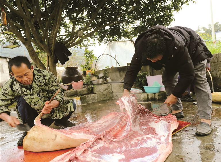蒙昭安 | 年猪旧事-南方文苑网