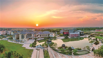 王丹丹 | 月饼小镇里的烟火与传承-南方文苑网