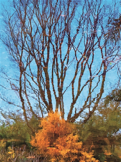 罗悦容 | 母爱藏在书香里-南方文苑网