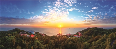 敖蓉 | 海风里的重生-南方文苑网