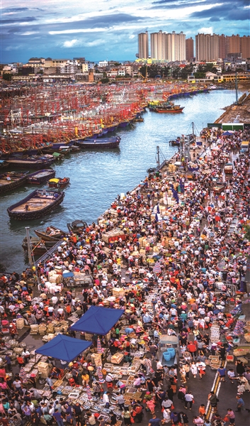 蔺淑华 | 渔港寻味-南方文苑网