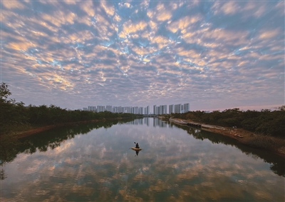 方志青 | 爱己，方知归途-南方文苑网