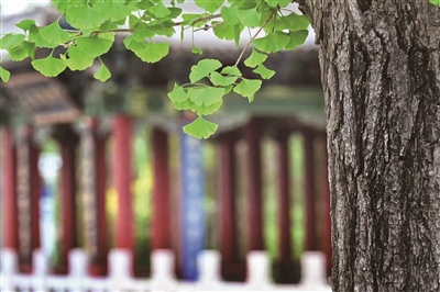 刘忠焕 | 画一个春天-南方文苑网