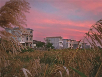 花学文 | 藏在柜底的偏爱-南方文苑网