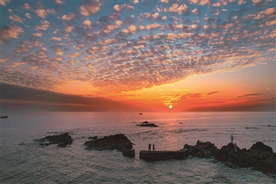 海角鱼 | 谁是最美的警察-南方文苑网