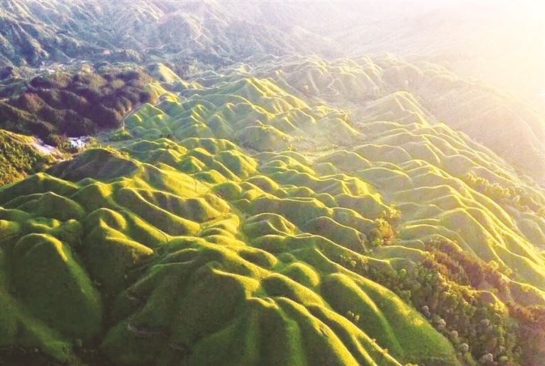 曾秀华 | 青山不负-南方文苑网