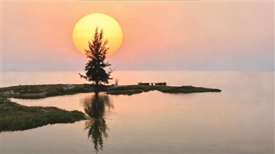 刘福田 | 静看海潮-南方文苑网