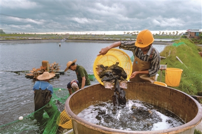 代景林 | 食安北海-南方文苑网