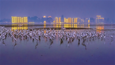 黄长凌：用镜头书写山海人间8