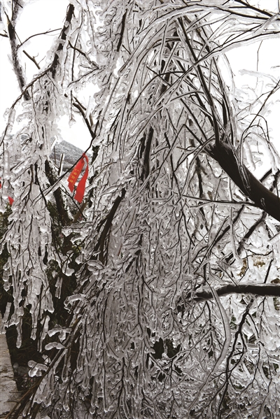 冰肌玉骨映晴光2