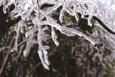 冰肌玉骨映晴光3