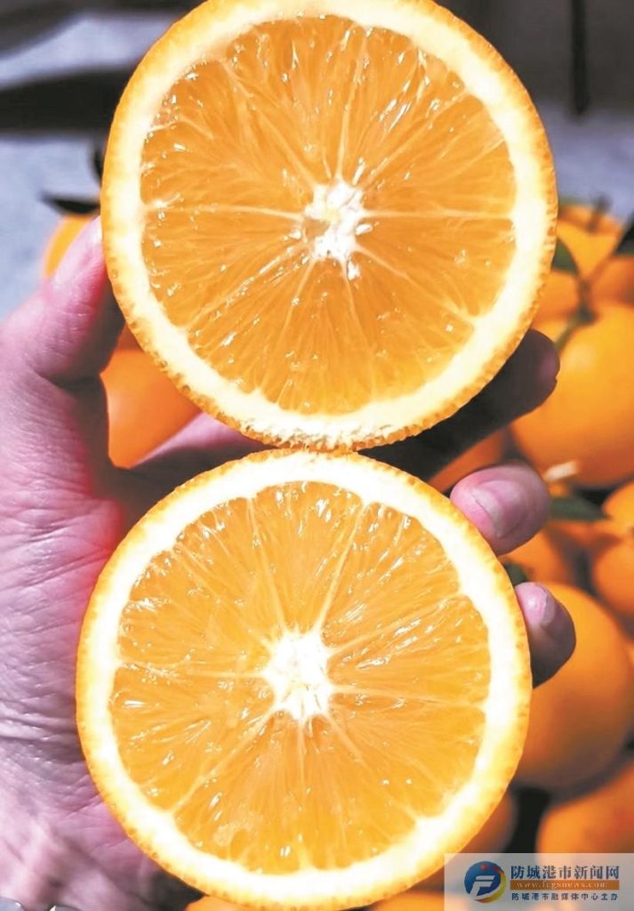 芋蒙 | 脐橙，脐橙-南方文苑网