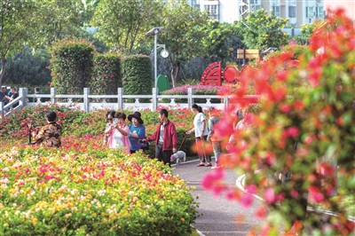 彭定欢 | 花繁贝美北海暖-南方文苑网